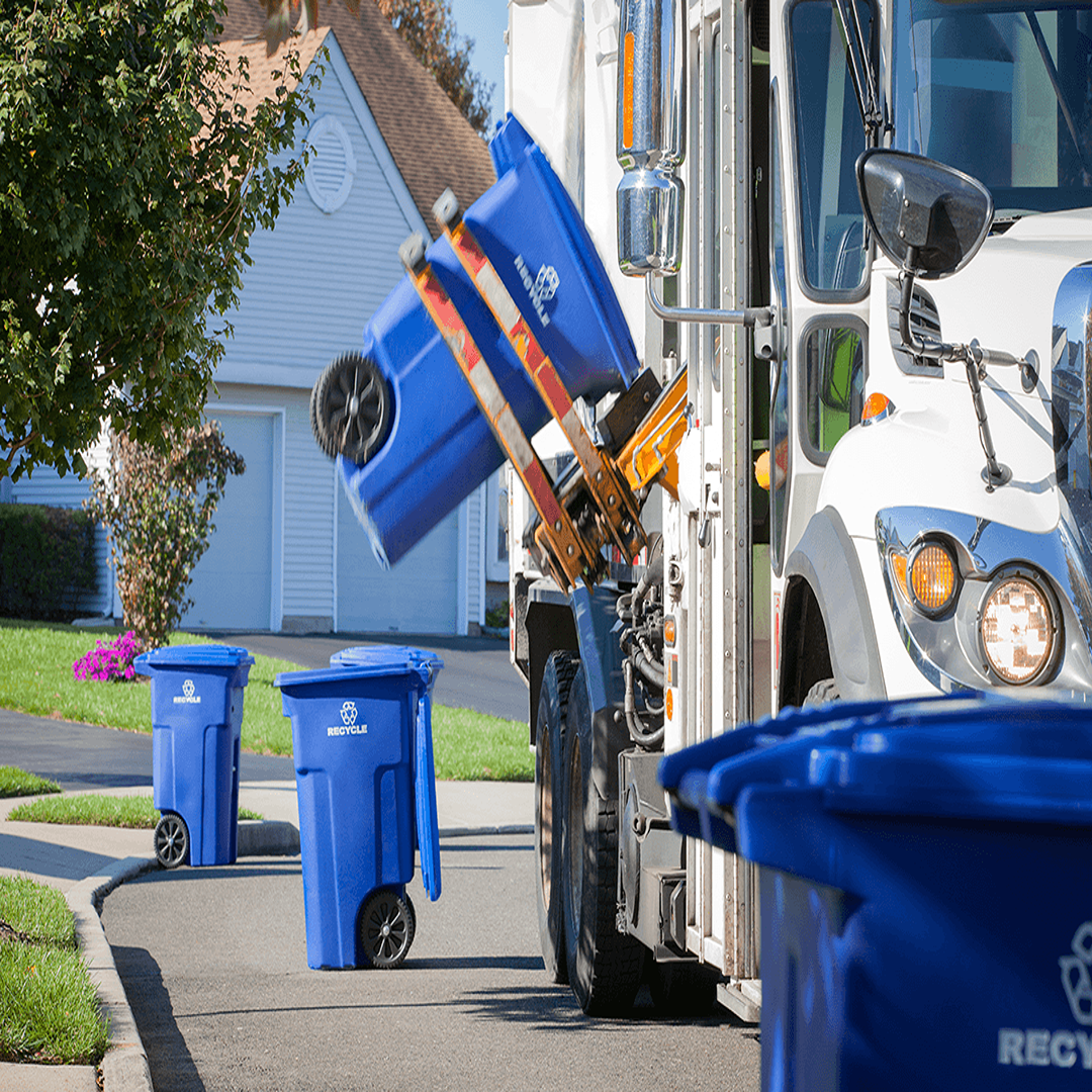 Rubbish Removal services (1)