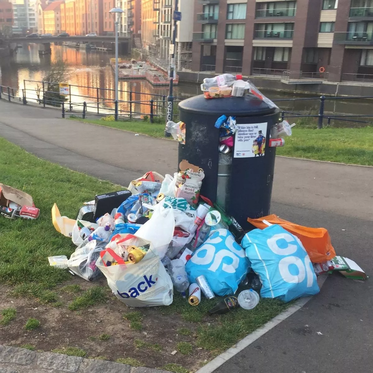 Rubbish Removals services (2)